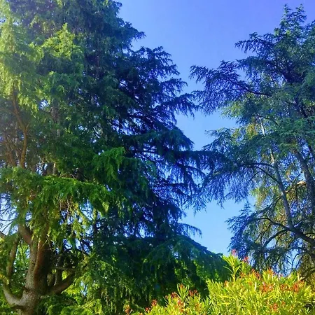 펜션 De La Riviere