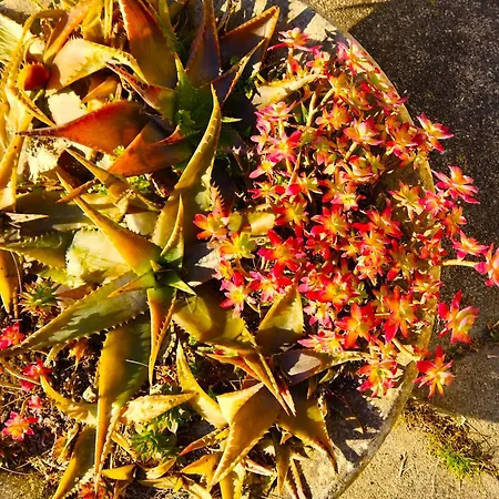 De La Rivière Hébergement de vacances