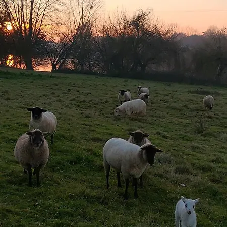 De La Riviere 펜션