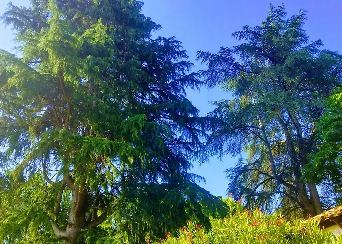 Prázdninový dům De La Riviere