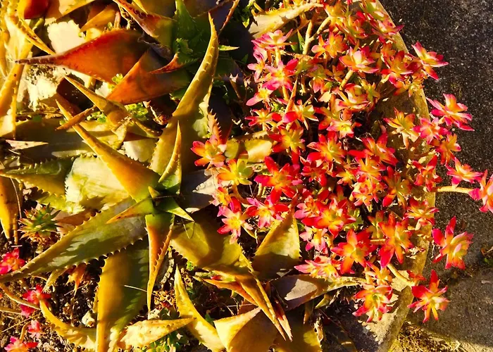 De La Riviere Prázdninový dům