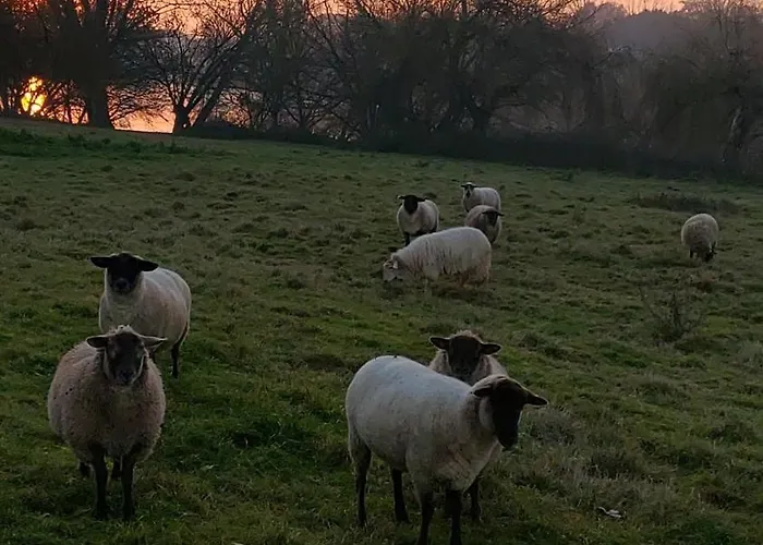 De La Riviere Prázdninový dům